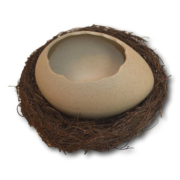 Dessert Bowl / Noodle Bowl Hydroponic Egg Shell Ostrich Vase & Nest - NEW - Picture 1 of 5